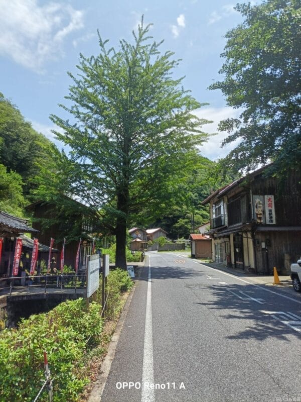 oppo reno11 a カメラ  oppo reno11 a カメラの風景写真 | ガジェットレビューの匠 OPPO Reno11 A カメラ OPPO Reno11 A カメラの風景写真