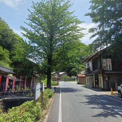 OPPO Reno11 A カメラ 
OPPO Reno11 A カメラの風景写真