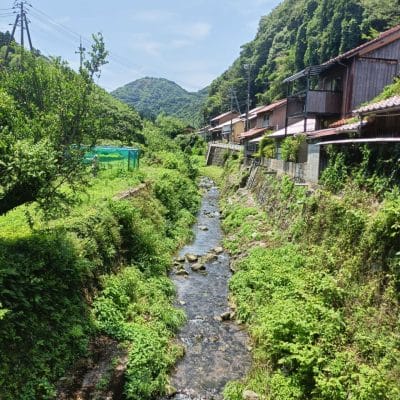 OPPO Reno11 A カメラ 
OPPO Reno11 A カメラの風景写真