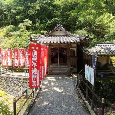 OPPO Reno11 A カメラ 
OPPO Reno11 A カメラの風景写真