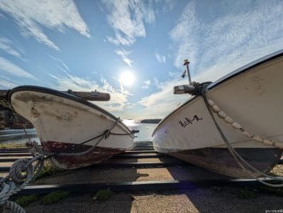 google pixel 8aで撮影した風景写真 | ガジェットレビューの匠 Google Pixel 8a カメラ Google Pixel 8aで撮影した風景写真