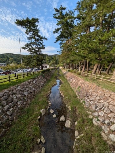 google pixel 8aで撮影した風景写真 | ガジェットレビューの匠 Google Pixel 8a カメラ Google Pixel 8aで撮影した風景写真