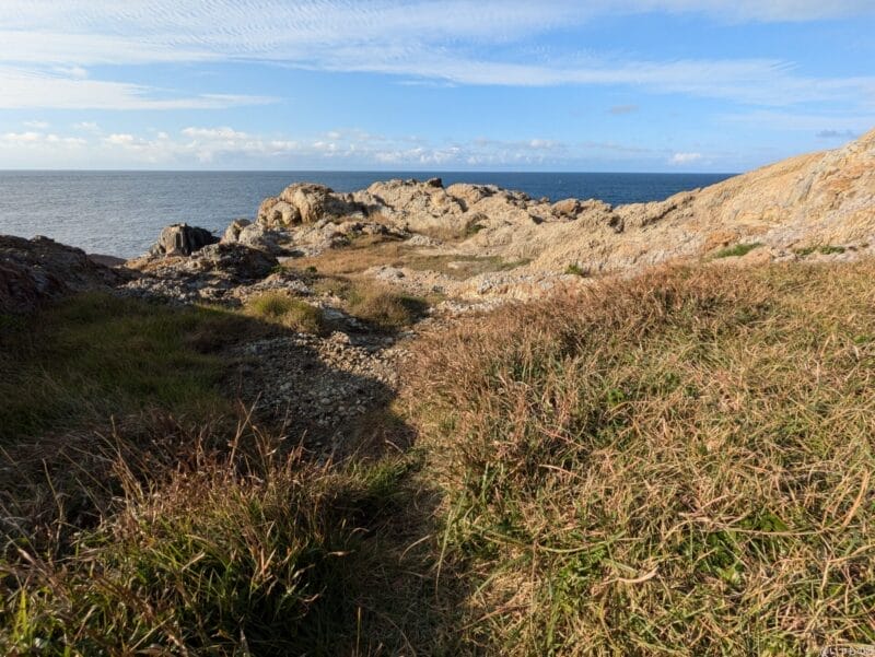 google pixel 8aで撮影した風景写真 | ガジェットレビューの匠 Google Pixel 8a カメラ Google Pixel 8aで撮影した風景写真