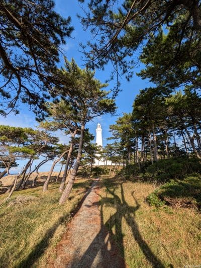google pixel 8aでズーム撮影した写真 | ガジェットレビューの匠 Google Pixel 8a カメラ Google Pixel 8aでズーム撮影した写真