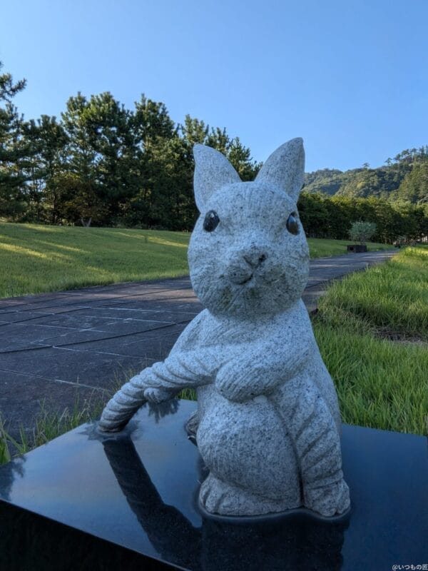 google pixel 9 pro fold の内側前面カメラでズーム撮影した写真 | ガジェットレビューの匠 Google Pixel 9 Pro Fold カメラ Google Pixel 9 Pro Fold の内側前面カメラでズーム撮影した写真