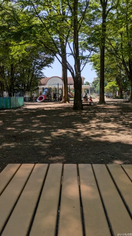 google pixel 8aで撮影した風景写真 | ガジェットレビューの匠 Google Pixel 8a カメラ Google Pixel 8aで撮影した風景写真