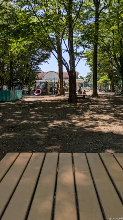 google pixel 8aで撮影した風景写真 | ガジェットレビューの匠 Google Pixel 8a カメラ Google Pixel 8aで撮影した風景写真