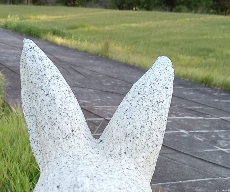 xiaomi redmi 14c インカメラで撮影した写真 | ガジェットレビューの匠 Xiaomi Redmi 14C カメラ Xiaomi Redmi 14C インカメラで撮影した写真
