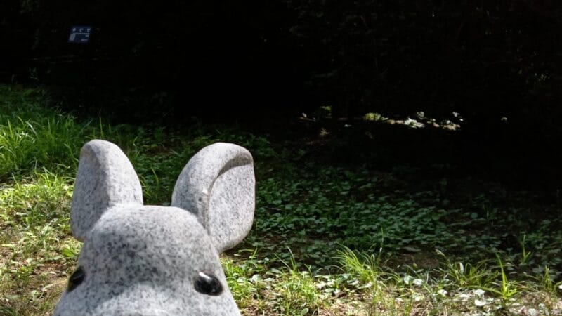 aquos wish4 インカメラで撮影した写真 | ガジェットレビューの匠 AQUOS wish4 レビュー AQUOS wish4 インカメラで撮影した写真