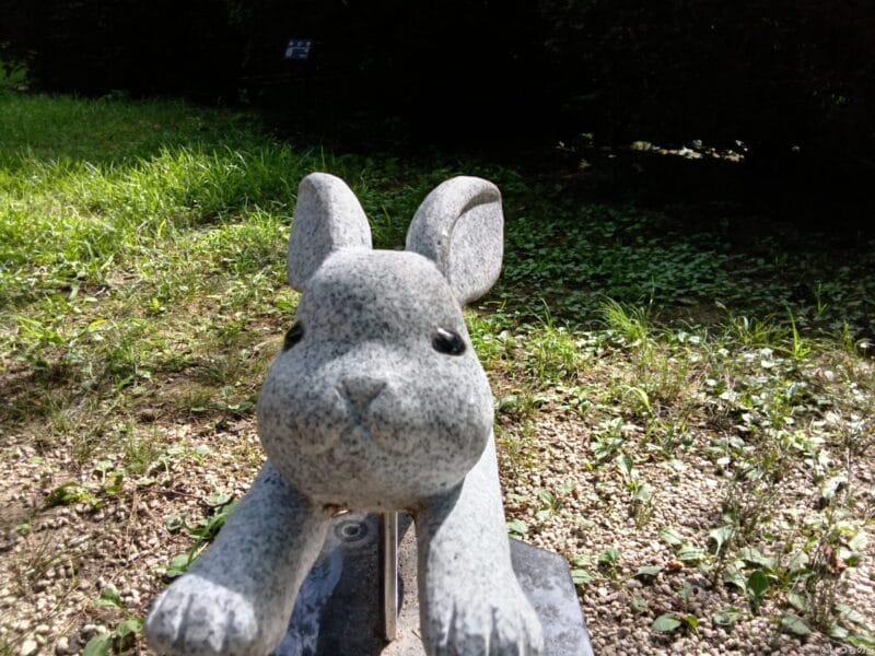 aquos wish4 インカメラで撮影した写真 | ガジェットレビューの匠 AQUOS wish4 レビュー AQUOS wish4 インカメラで撮影した写真