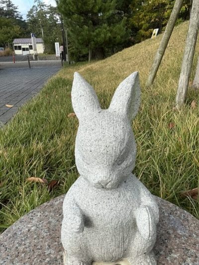 ipad mini 第7世代 のフロントカメラで撮影した写真 | ガジェットレビューの匠 iPad mini 第7世代 カメラ iPad mini 第7世代 のフロントカメラで撮影した写真