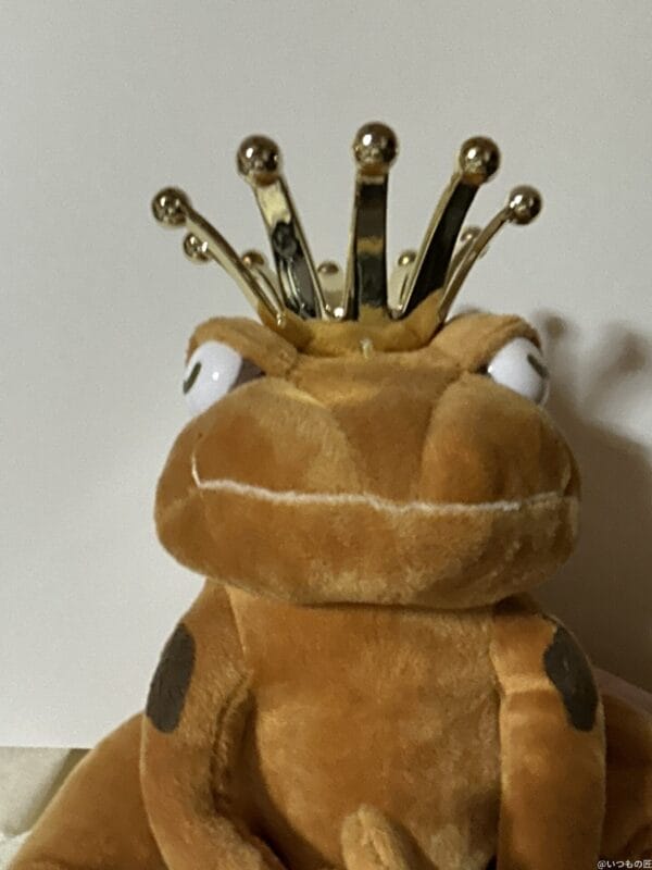 ipad mini 第7世代 のフロントカメラで撮影した写真 | ガジェットレビューの匠 iPad mini 第7世代 カメラ iPad mini 第7世代 のフロントカメラで撮影した写真