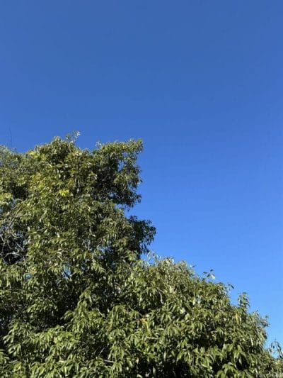 ipad mini 第7世代 で撮影した風景写真 | ガジェットレビューの匠 iPad mini 第7世代 カメラ iPad mini 第7世代 で撮影した風景写真