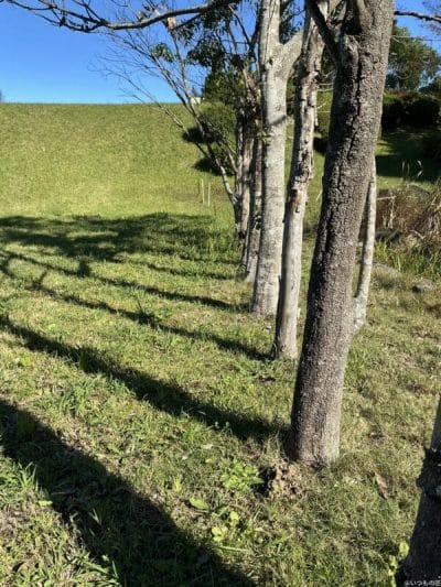 ipad mini 第7世代 で撮影した風景写真 | ガジェットレビューの匠 iPad mini 第7世代 カメラ iPad mini 第7世代 で撮影した風景写真