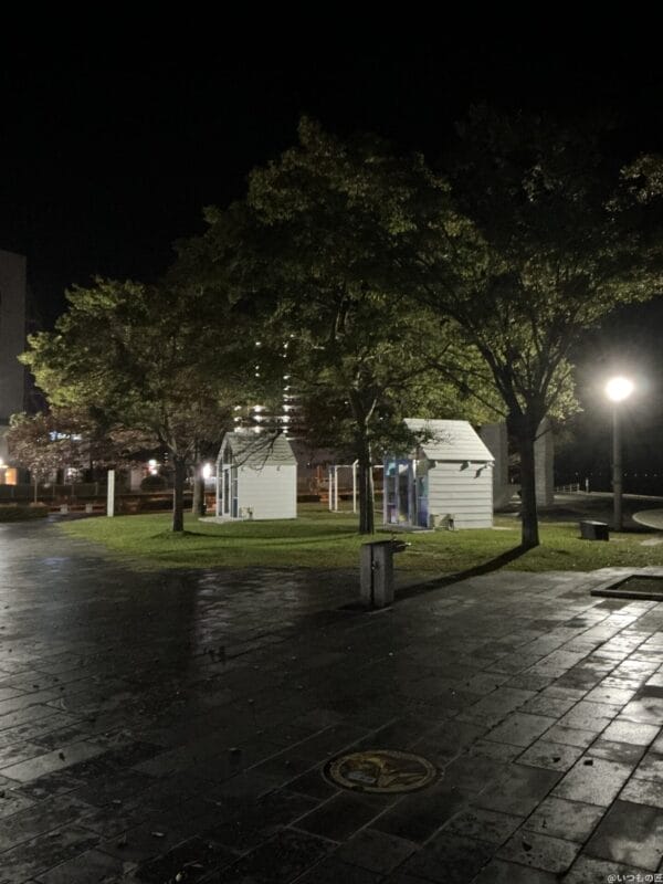 ipad mini 第7世代 で暗所撮影した写真 | ガジェットレビューの匠 iPad mini 第7世代 カメラ iPad mini 第7世代 で暗所撮影した写真