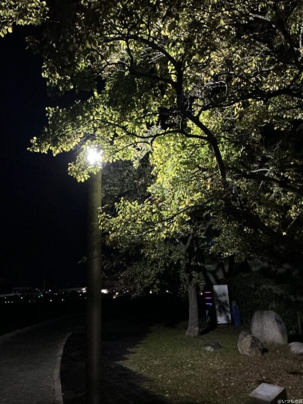 ipad mini 第7世代 で暗所撮影した写真 | ガジェットレビューの匠 iPad mini 第7世代 カメラ
iPad mini 第7世代 で暗所撮影した写真