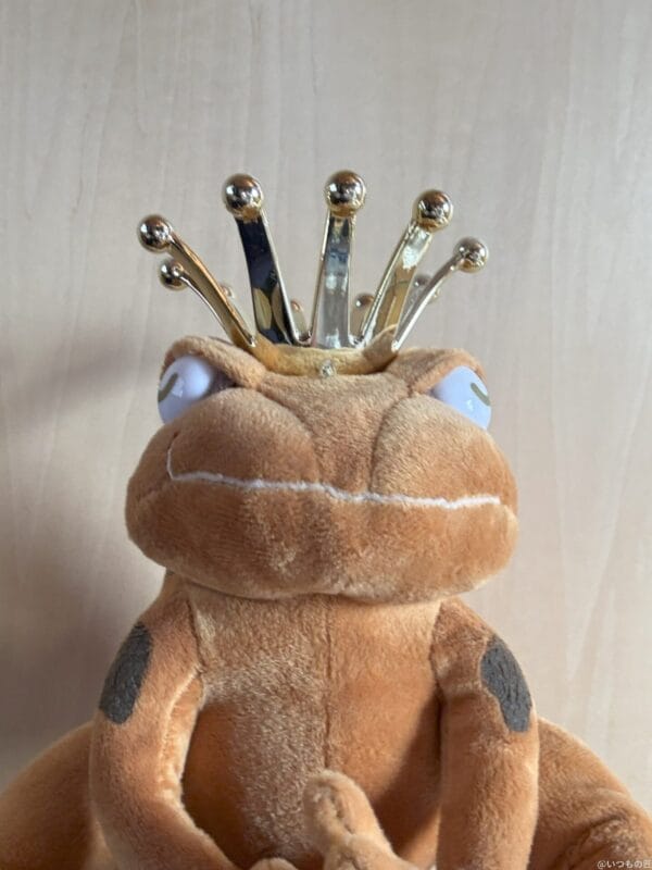 iphone 16のフロントカメラで撮影した写真 | ガジェットレビューの匠 iPad mini 第7世代 カメラ iPhone 16のフロントカメラで撮影した写真