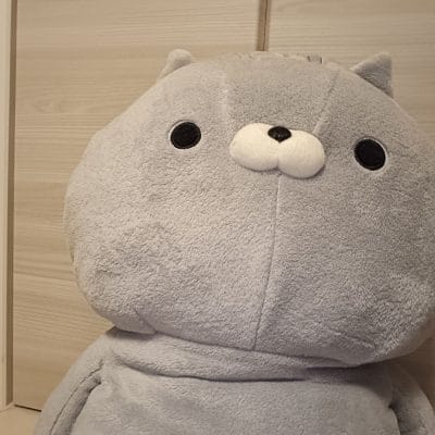 oppo reno11 a インカメラで撮影したぬいぐるみの写真 | ガジェットレビューの匠 OPPO Reno11 A カメラ OPPO Reno11 Aのインカメラで撮影したぬいぐるみの写真