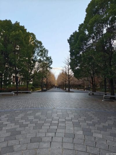 aquos r9 pro で撮影した風景写真 | ガジェットレビューの匠 AQUOS R9 pro カメラ AQUOS R9 pro で撮影した風景写真