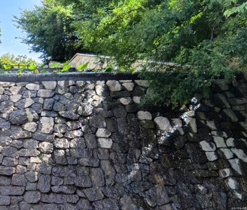 aquos wish4 カメラでhdr撮影した風景写真 | ガジェットレビューの匠 moto g64 5G カメラ AQUOS wish4 カメラでHDR撮影した風景写真