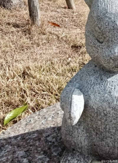 oppo a3 5g インカメラで撮影した写真 | ガジェットレビューの匠 OPPO A3 5G カメラ OPPO A3 5G インカメラで撮影した写真