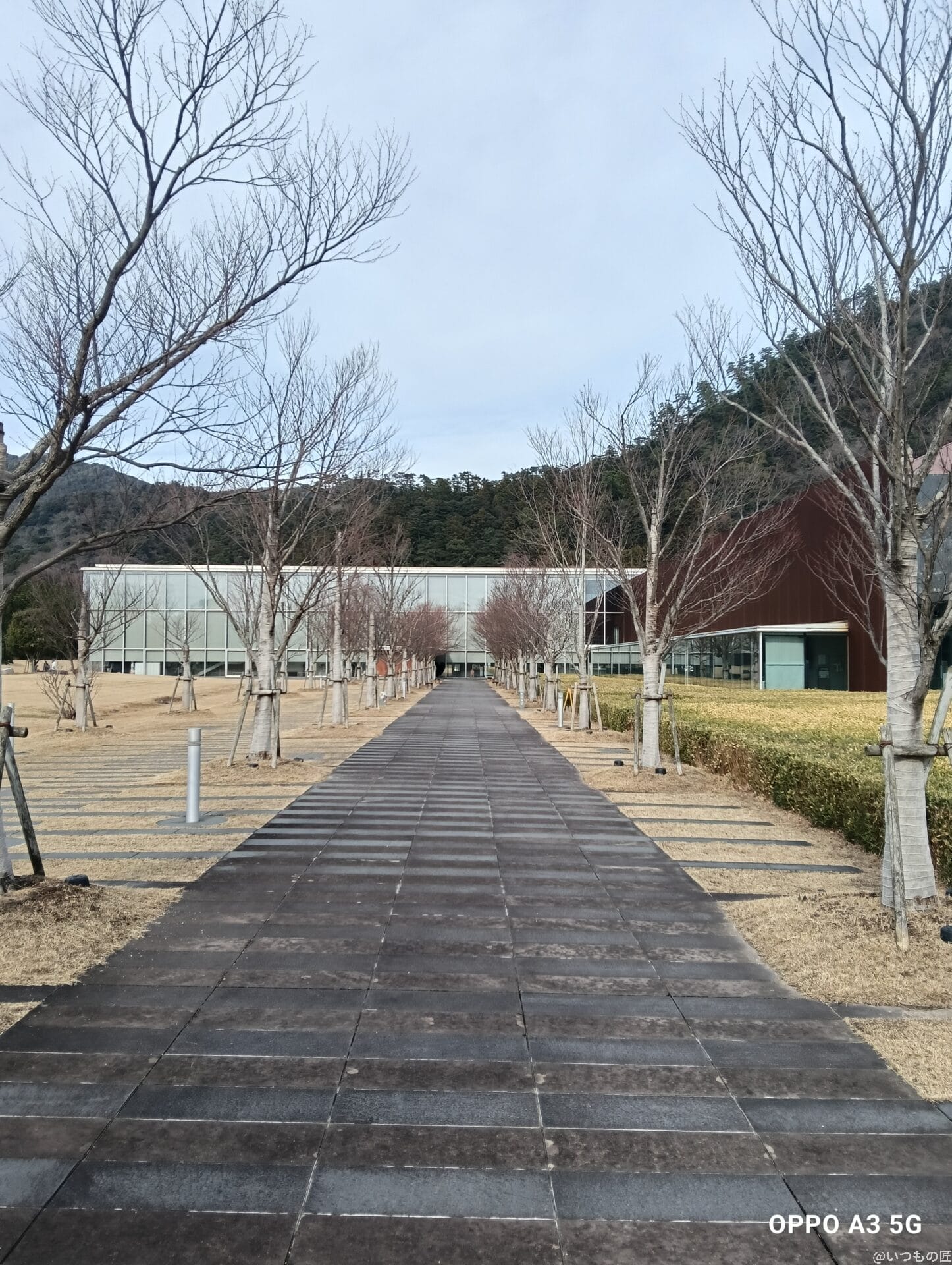 oppo a3 5g カメラで撮影した風景写真 | ガジェットレビューの匠 OPPO A3 5G カメラ OPPO A3 5G カメラで撮影した風景写真