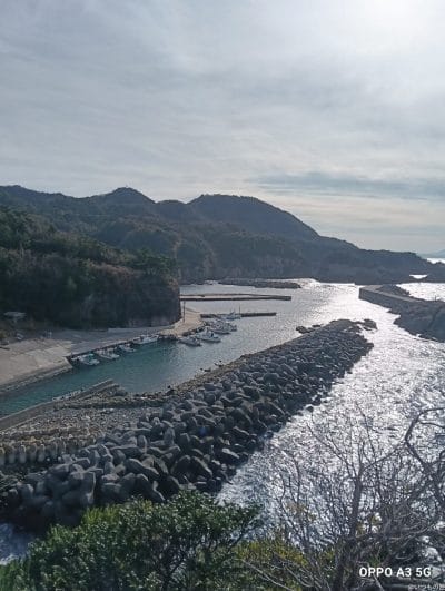 oppo a3 5gで撮影した風景写真 | ガジェットレビューの匠 OPPO A3 5G レビュー OPPO A3 5Gで撮影した風景写真