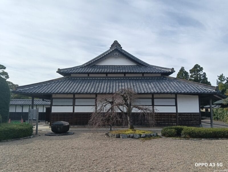 oppo a3 5g カメラで撮影した風景写真 | ガジェットレビューの匠 OPPO A3 5G カメラ OPPO A3 5G カメラで撮影した風景写真