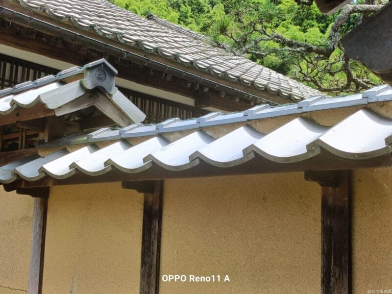 oppo reno11 a カメラで撮影した風景写真 | ガジェットレビューの匠 OPPO A3 5G カメラ OPPO Reno11 A カメラで撮影した風景写真
