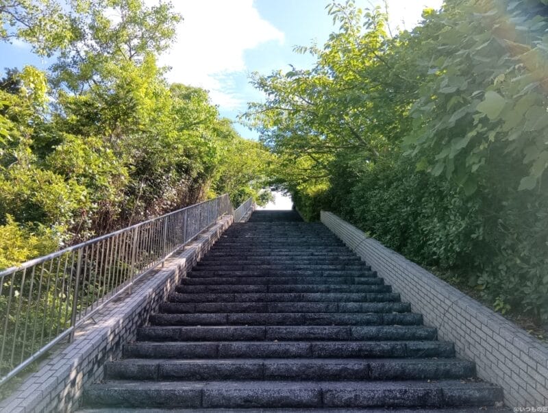 aquos wish4 カメラで撮影した風景写真 | ガジェットレビューの匠 moto g64 5G カメラ AQUOS wish4 カメラで撮影した風景写真