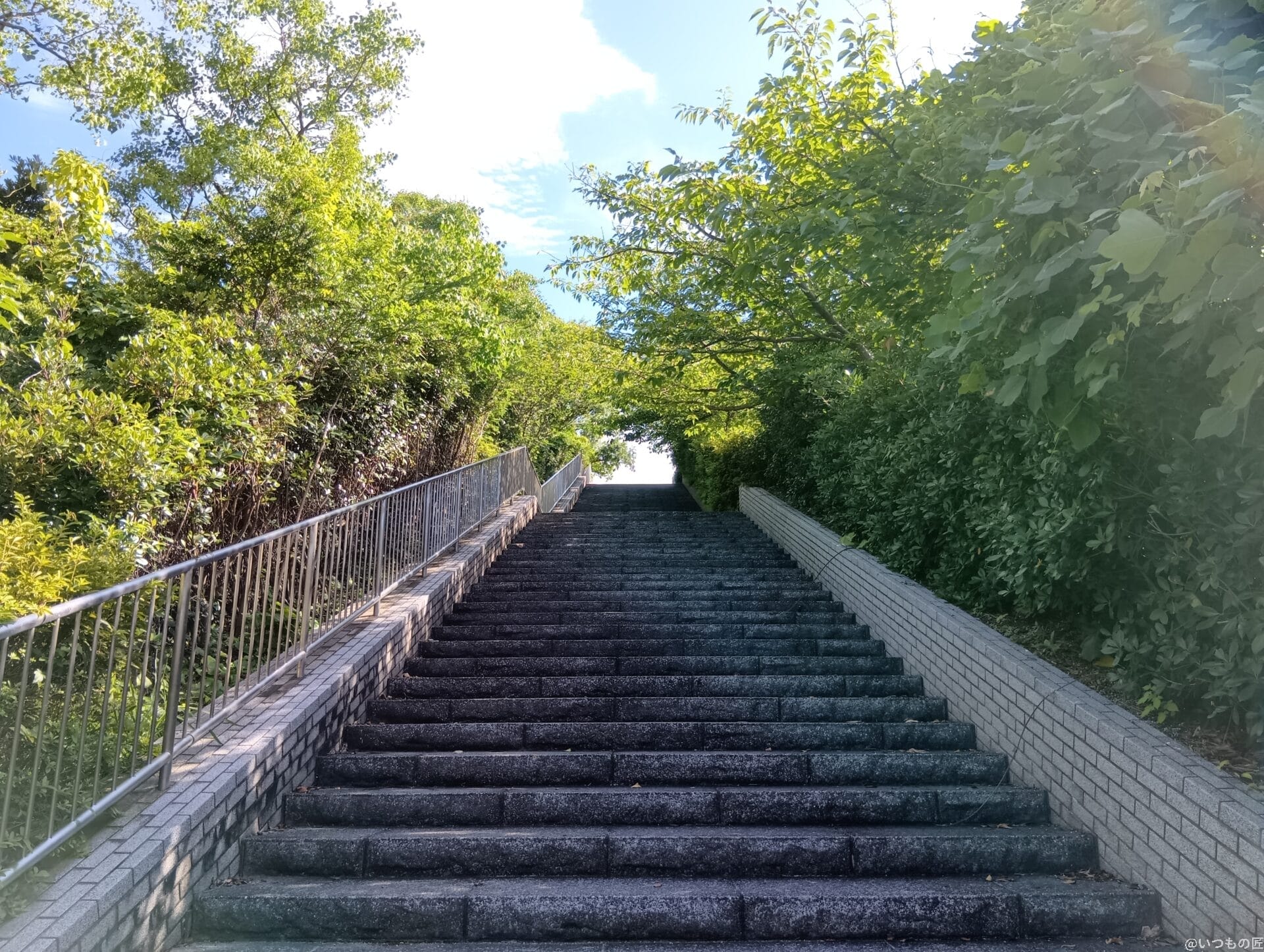 aquos wish4 カメラで撮影した風景写真 | ガジェットレビューの匠 moto g64 5G カメラ AQUOS wish4 カメラで撮影した風景写真