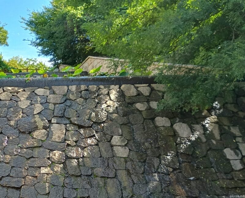 moto g64 5g カメラでhdr撮影した風景写真 | ガジェットレビューの匠 moto g64 5G カメラ moto g64 5G カメラでHDR撮影した風景写真