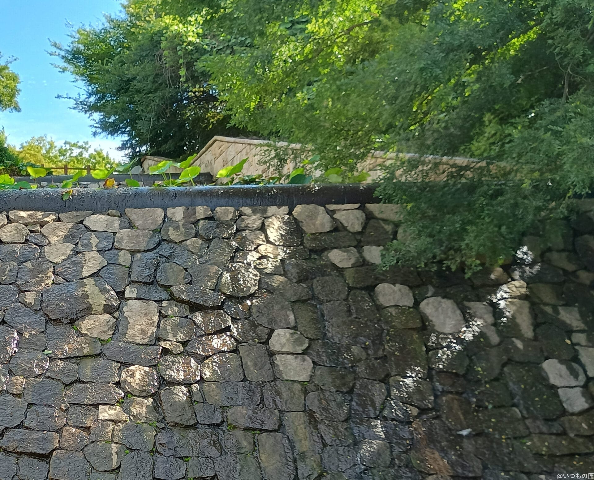 moto g64 5g カメラでhdr撮影した風景写真 | ガジェットレビューの匠 moto g64 5G カメラ moto g64 5G カメラでHDR撮影した風景写真