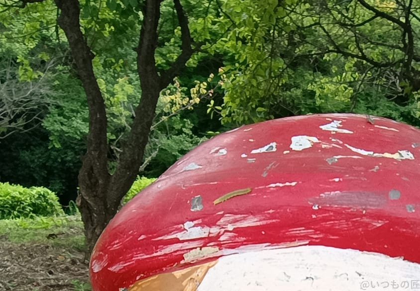 moto g64 5g インカメラで撮影した写真 | ガジェットレビューの匠 moto g64 5G カメラ moto g64 5G インカメラで撮影した写真