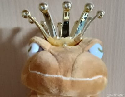 moto g64 5g インカメラで撮影した写真 | ガジェットレビューの匠 moto g64 5G カメラ moto g64 5G インカメラで撮影した写真