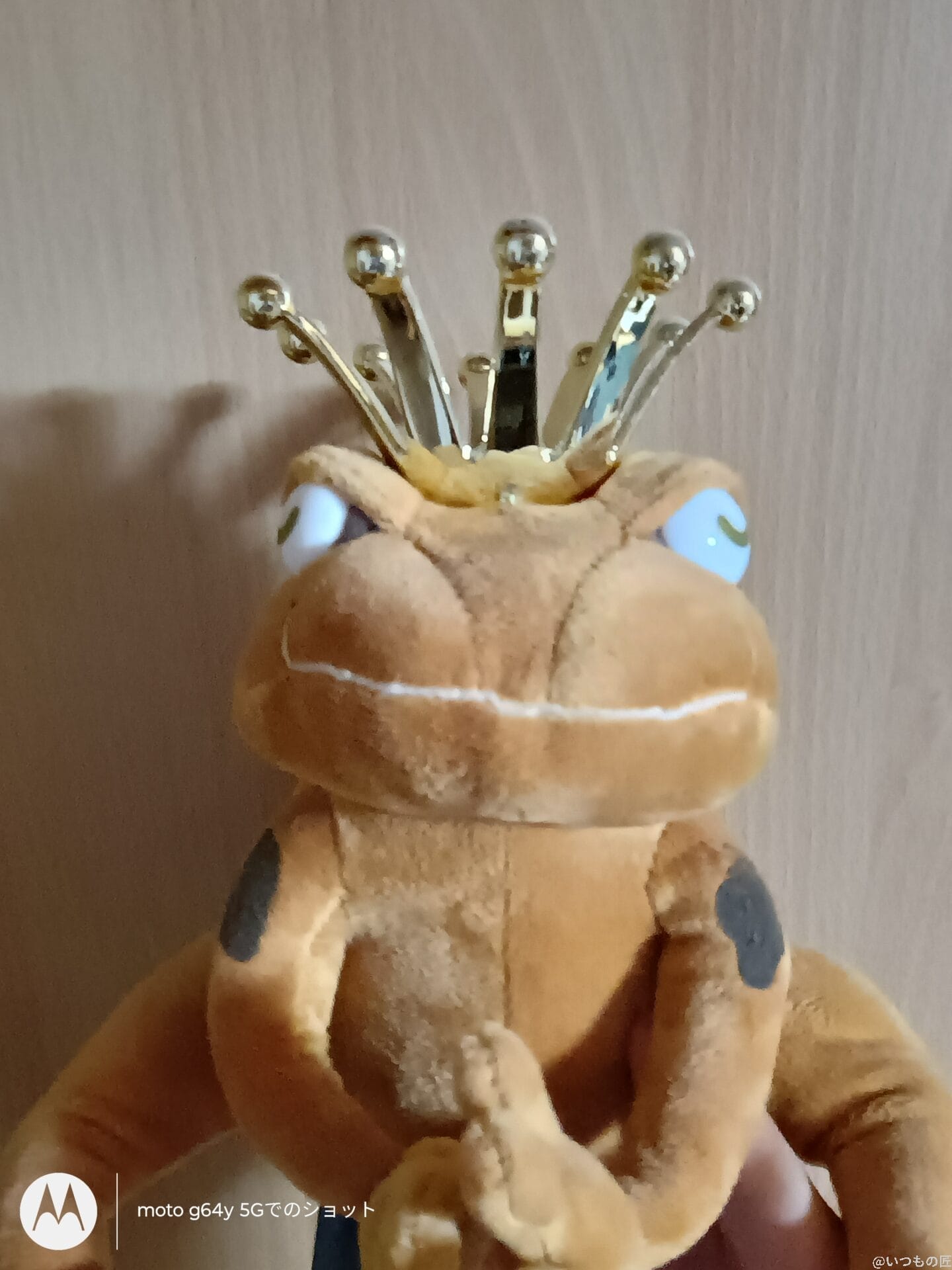 moto g64 5g インカメラで撮影した写真 | ガジェットレビューの匠 moto g64 5G カメラ moto g64 5G インカメラで撮影した写真