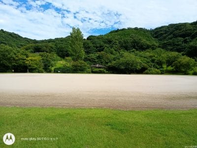 moto g64 5g カメラで撮影した風景写真 | ガジェットレビューの匠 moto g64 5G カメラ moto g64 5G カメラで撮影した風景写真