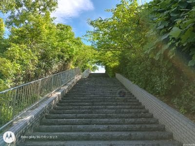 moto g64 5g カメラで撮影した風景写真 | ガジェットレビューの匠 moto g64 5G カメラ moto g64 5G カメラで撮影した風景写真