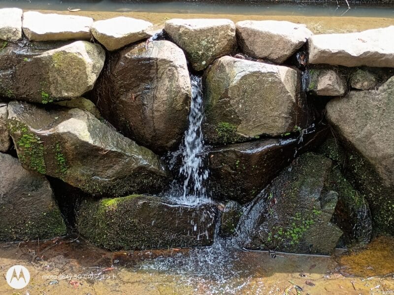 moto g64 5g カメラで撮影した風景写真 | ガジェットレビューの匠 moto g64 5G カメラ moto g64 5G カメラで撮影した風景写真