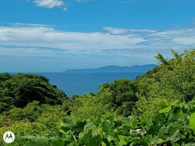 moto g64 5g カメラで撮影した風景写真 | ガジェットレビューの匠 moto g64 5G カメラ moto g64 5G カメラで撮影した風景写真