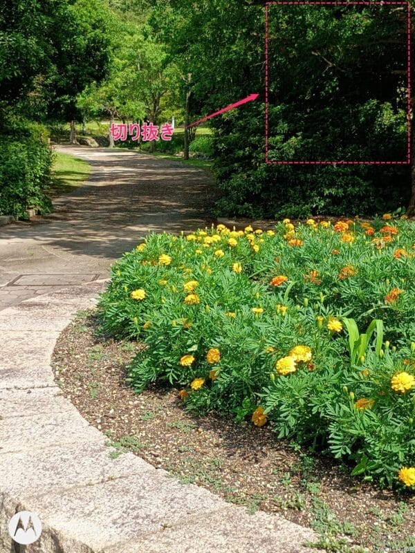 moto g64 5g カメラで撮影した風景写真 | ガジェットレビューの匠 moto g64 5G カメラ moto g64 5G カメラで撮影した風景写真