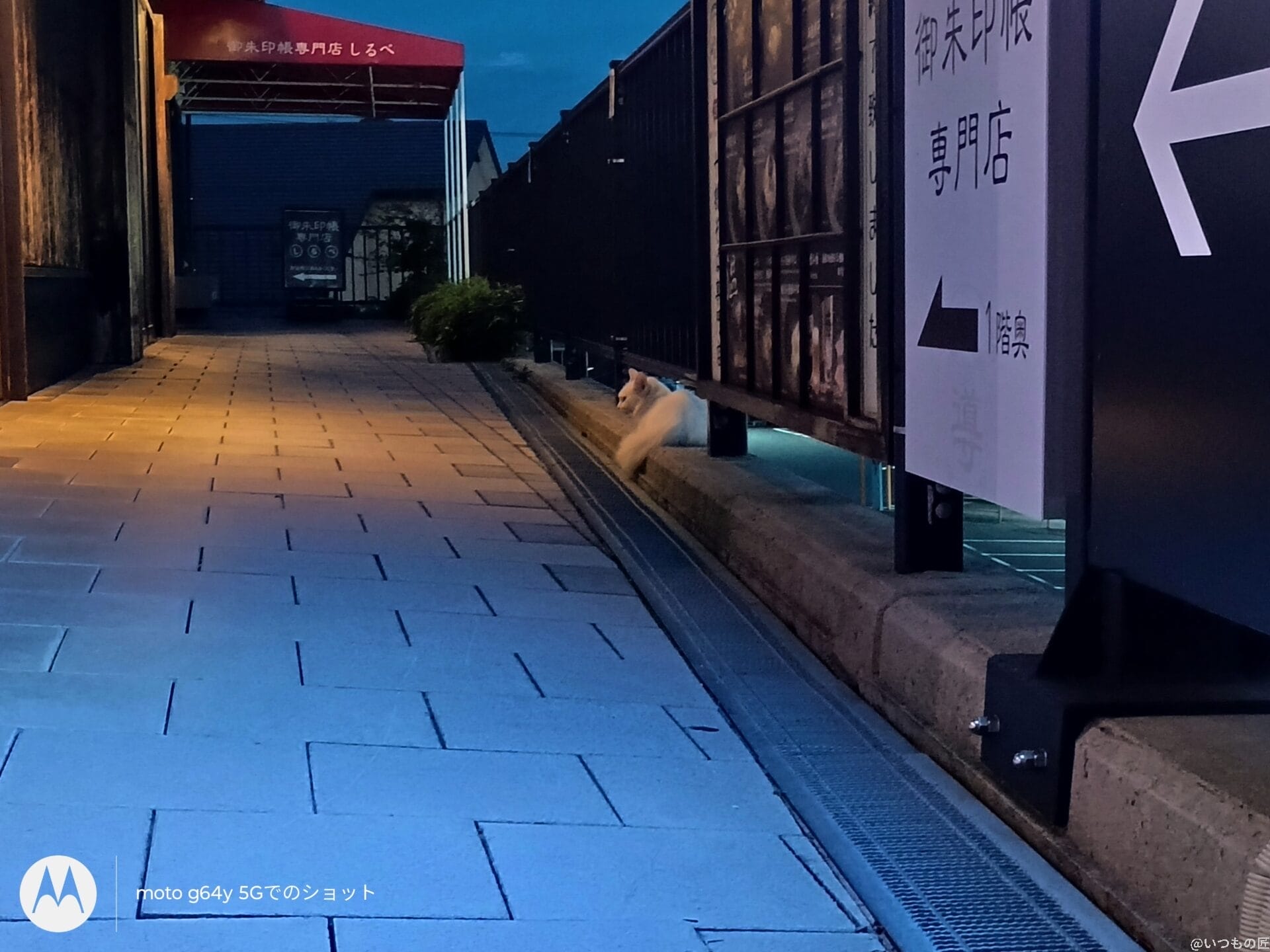 moto g64 5g カメラで暗所撮影した写真 | ガジェットレビューの匠 moto g64 5G カメラ moto g64 5G カメラで暗所撮影した写真