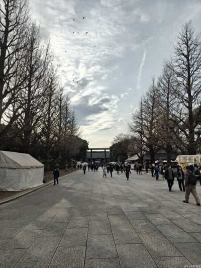 oppo find x8 ポートレート撮影 | ガジェットレビューの匠 OPPO Find X8 カメラ OPPO Find X8で撮影したポートレート写真