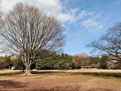 oppo find 8xで写真撮影したポートレート写真 | ガジェットレビューの匠 OPPO Find 8X カメラ OPPO Find 8Xで写真撮影したポートレート写真