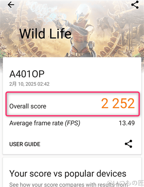 ３DMark使い方 OPPO Reno11AのWild Lifeの測定画面