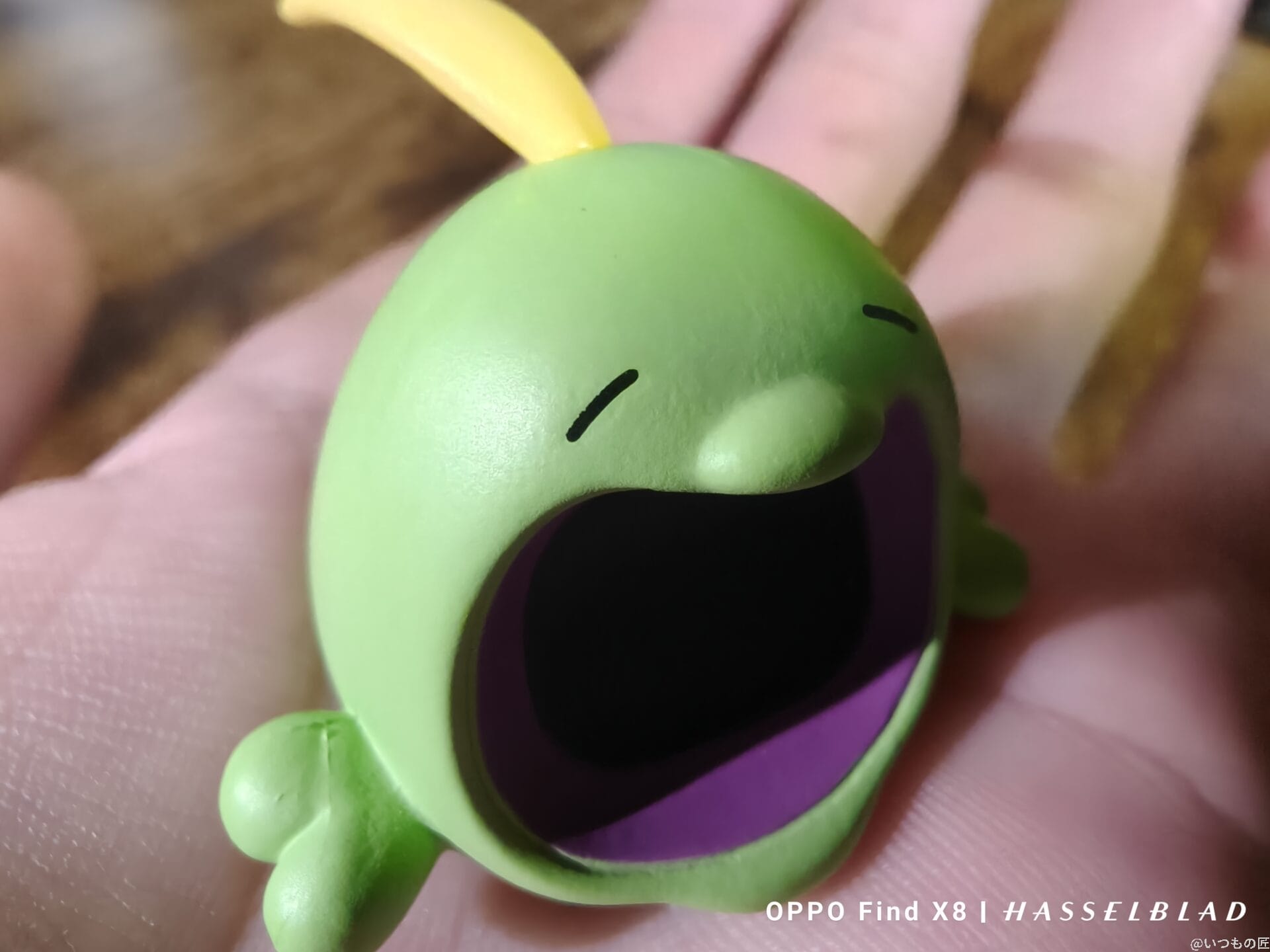 OPPO Find X8 カメラ
OPPO Find X8でマクロ撮影した風景写真