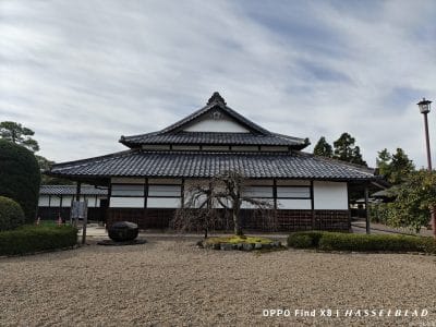 oppo find x8で撮影した風景写真 | ガジェットレビューの匠 OPPO Find X8 カメラ OPPO Find X8で撮影した風景写真