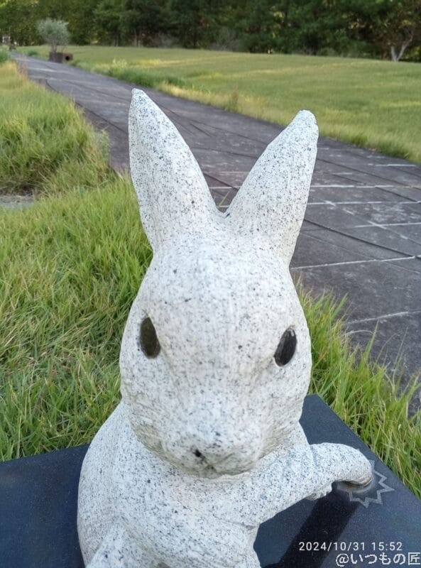 redmi 14c インカメラで撮影した写真 | ガジェットレビューの匠 nubia S 5G カメラ Redmi 14C インカメラで撮影した写真