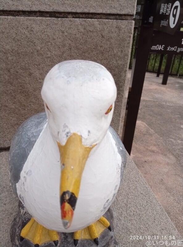 oppo a3 5g インカメラで撮影した写真 | ガジェットレビューの匠 nubia S 5G カメラ OPPO A3 5G インカメラで撮影した写真