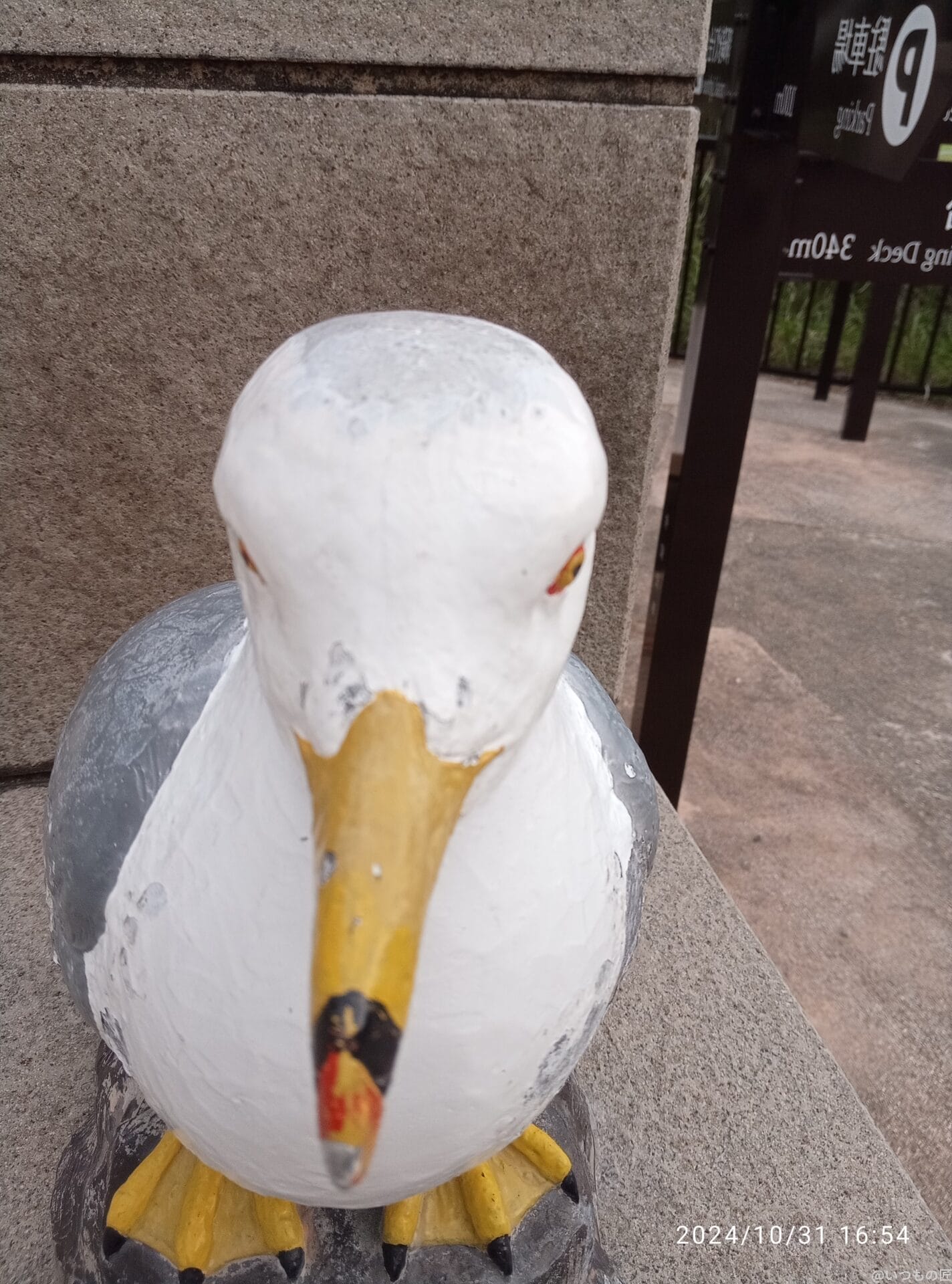 oppo a3 5g インカメラで撮影した写真 | ガジェットレビューの匠 nubia S 5G カメラ OPPO A3 5G インカメラで撮影した写真